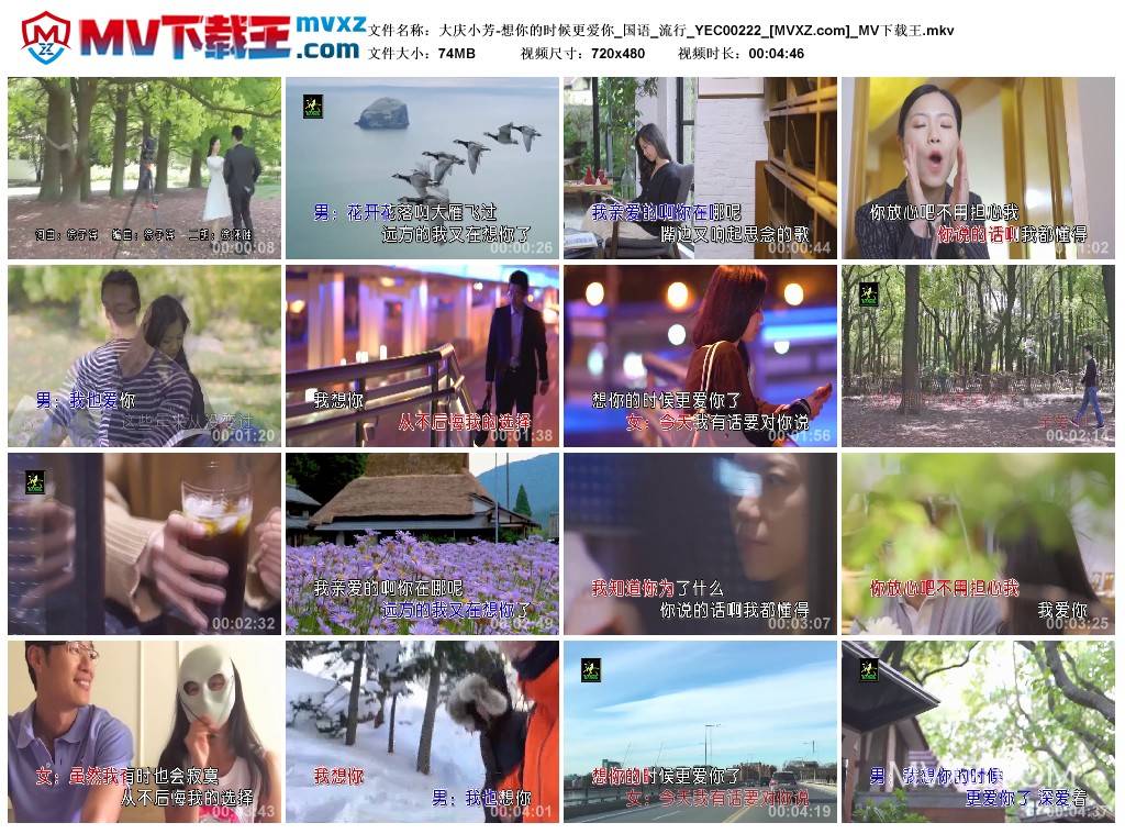 大庆小芳-想你的时候更爱你_国语_流行_YEC00222